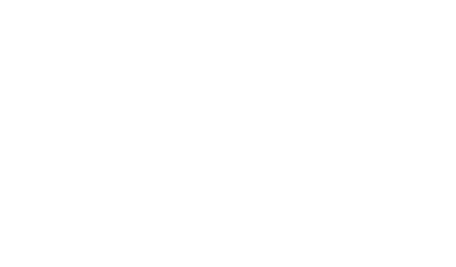 TNH Transporte y Logística Internacional